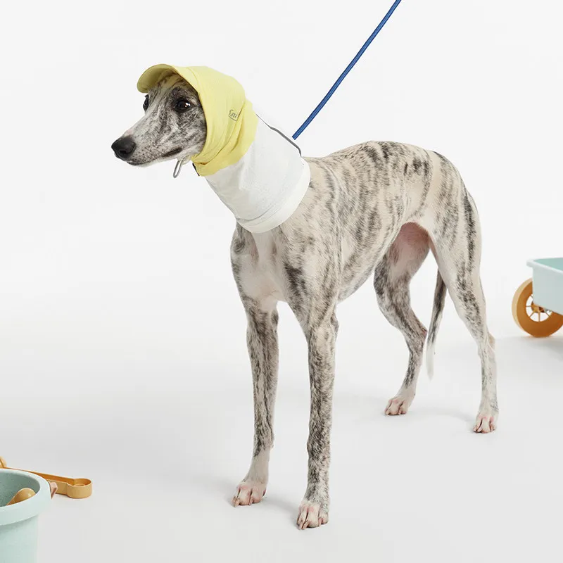 Sombrero verano anti-UV para Whippets y Galgos Italianos – Seda helada - imagen 3
