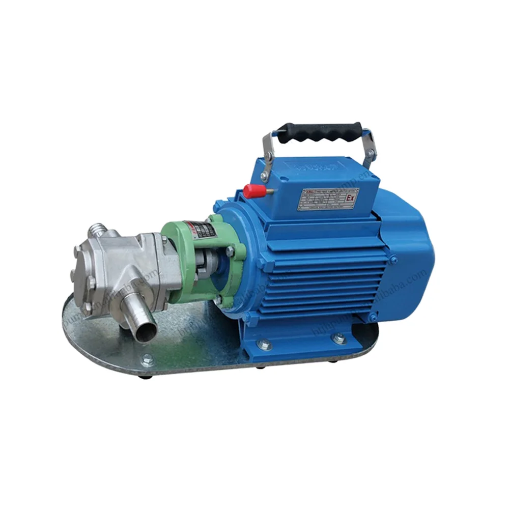 

Micro-oil Pump Filling Pump WCB50 OEM Portable Gear Pump 380V 550W