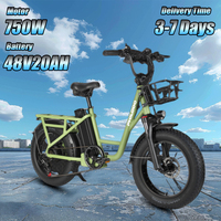 PHILODO T1 Electric Bicycle 1000W Peak Power 48V20AH Adult Electric Cargo Bike 20*4-inch Fat Tire Hydraulic Brake Mountain Ebike