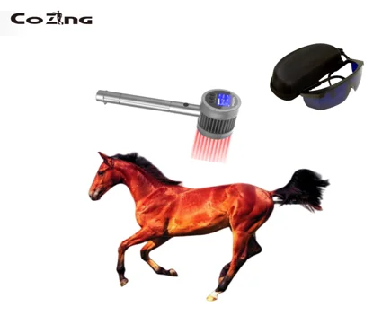Class 4 Laser Therapy Device for Home Use, Professional Grade Treatment for Pets