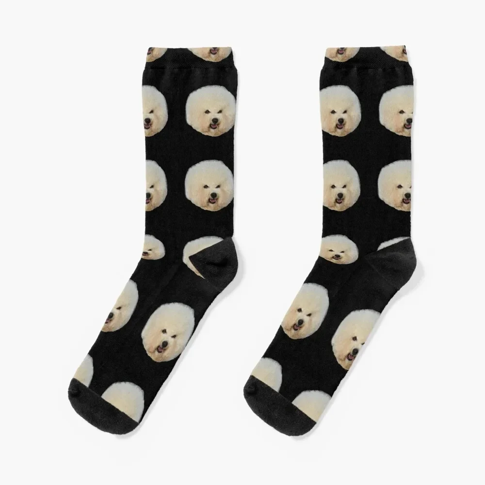 

A Very Beautiful Bichon Frise Dog Socks warm winter Wholesale cotton Novelties Socks For Girls Men's