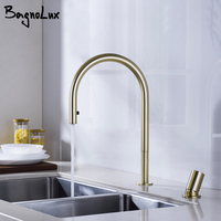 Brushed Gold Kitchen Faucet Invisible Pull Out Spray Mixer Double Hole Single Handle Solid Brass Hot and Cold Separate Sink Tap