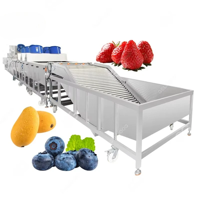Orange mango pineapple fruit cleaning wax sorting line waxing apple grading washing dryer