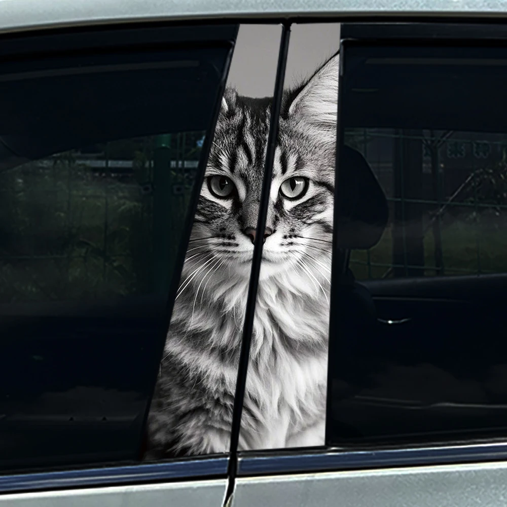 2PCS 3D Peeking Maine Coon Cat Car B Pillar Sticker, Upgrade PET Material, Waterproof Customizable Auto Decal Universal Fit