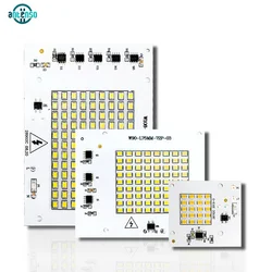 LED Lamp Chips 220V SMD Bulb 2835 Smart IC Flood Light Beads Input 100W 50W 30W 20W 10W for Outdoor Lighting Spotlight