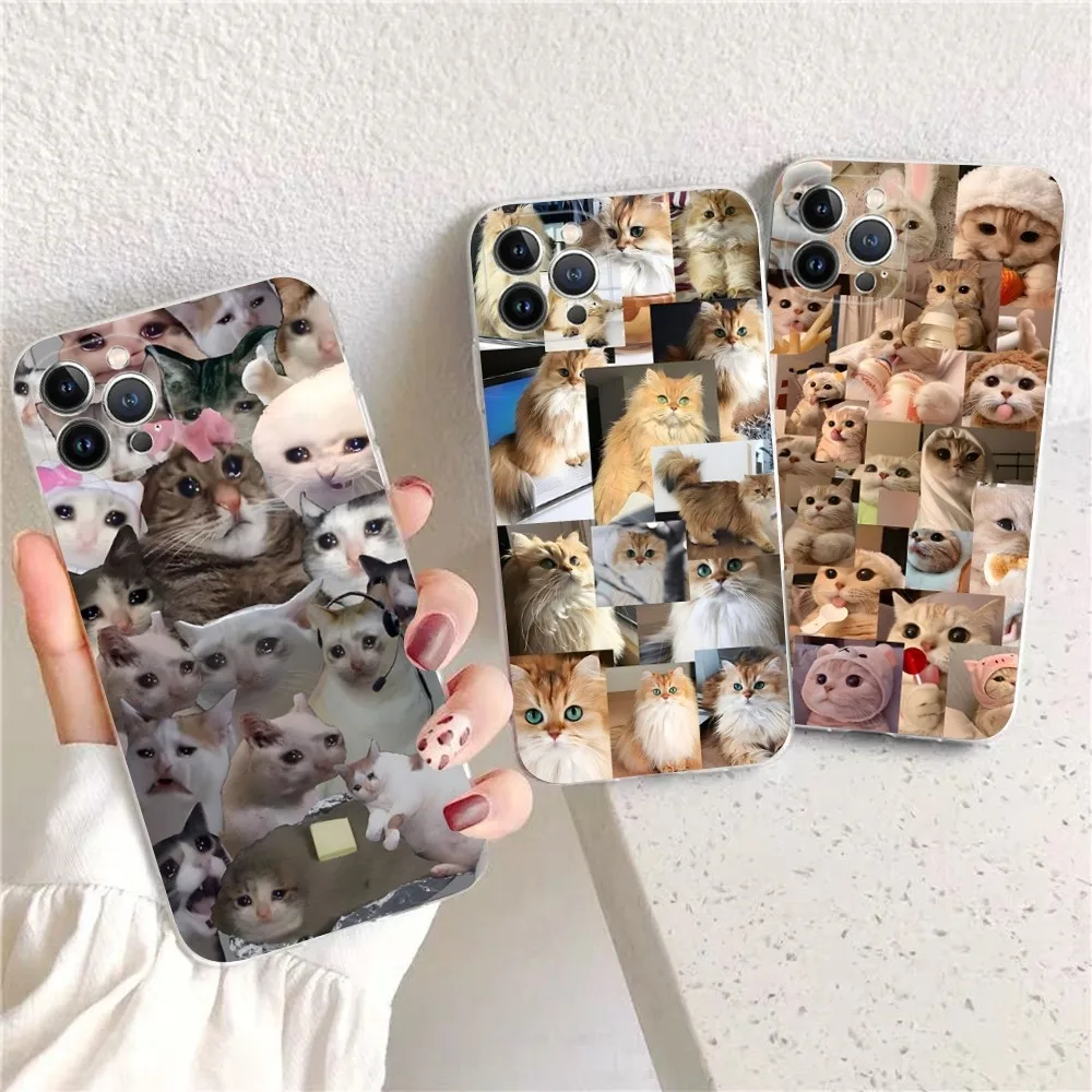 

Crying Cat Memes Phone Case For iPhone 15 14 11 12 13 Mini Pro XS Max Cover 6 7 8 Plus X XR SE 2020 Funda Shell