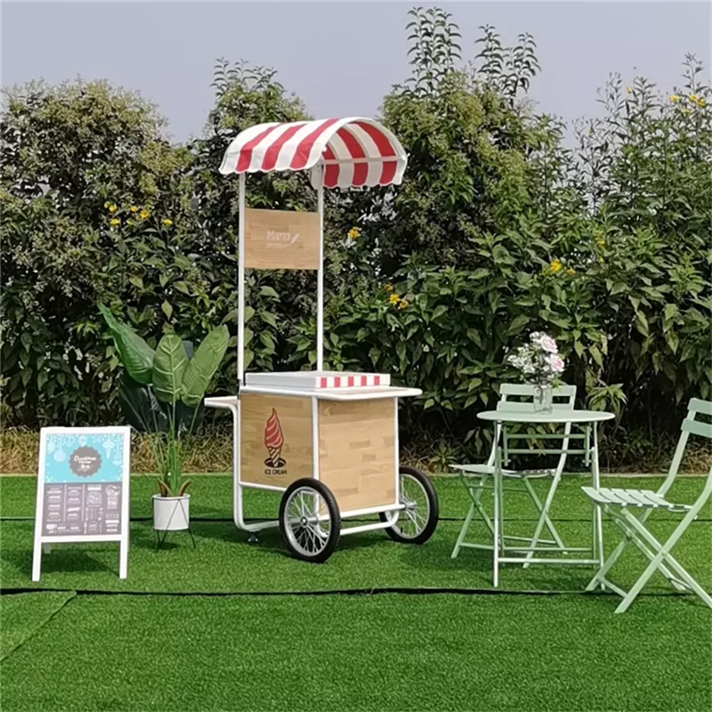 Hot Sale Ice Cream Cart Trailer with 50L Mini Display Freezers Fridges  Hand Push Ice Cream Vending Carts Mobile Food Truck