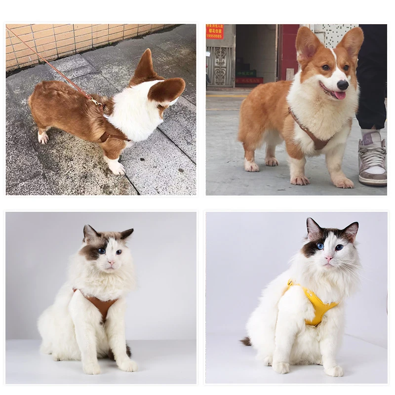 Leather Cats Walking Harness Leash Set Lightweight Chest Strap Rope Chain Pet Supplies Small Dogs