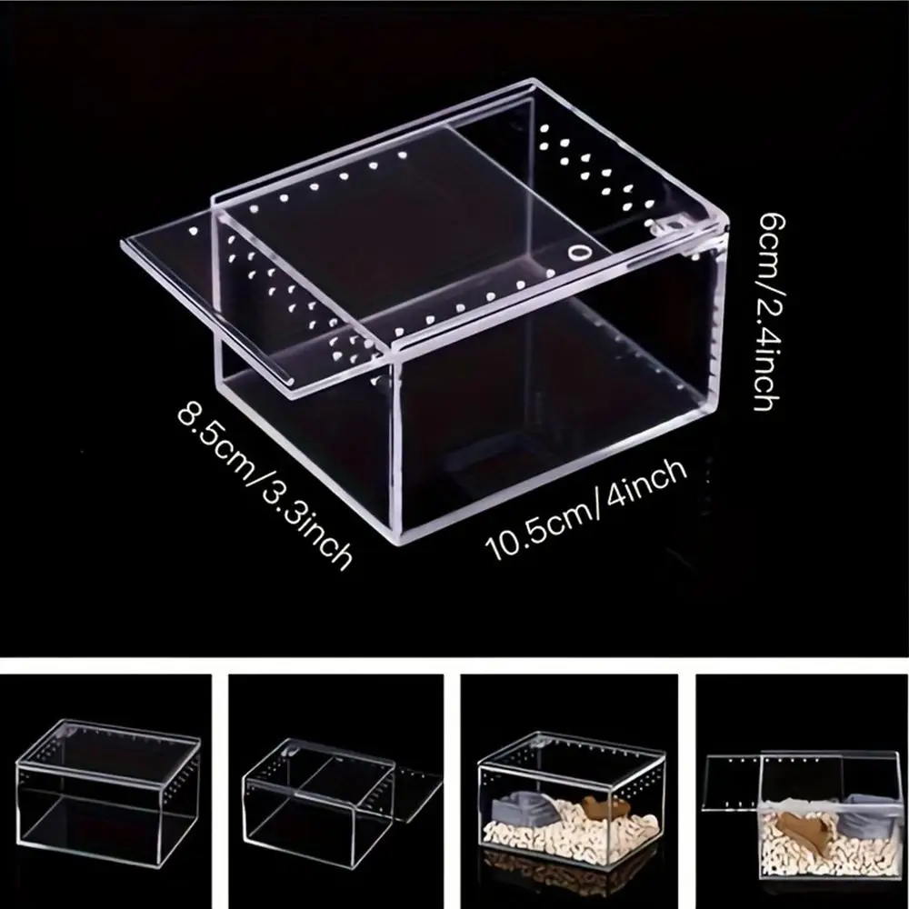 Slak Terrarium Transparante Kweekbox Acryl Slang Behuizing Voor Hagedis Kikker Gekko Slak Schildpad Observatie Fokken Voeden