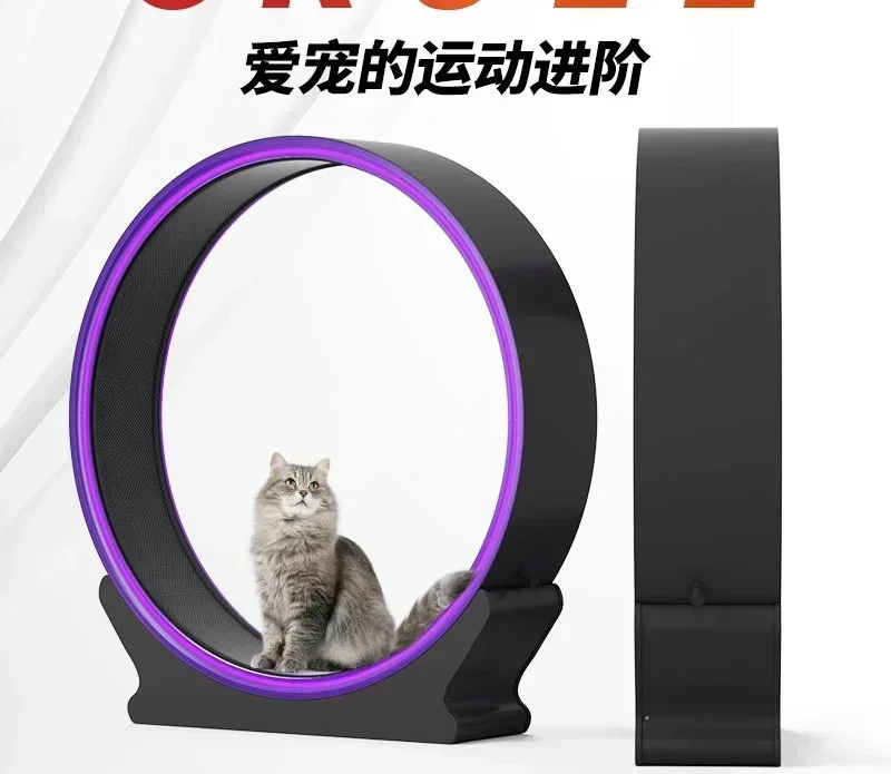 

Hot Sell Smart abs silent cat treadmill track hidden full dog cat universal pet big toy supplies