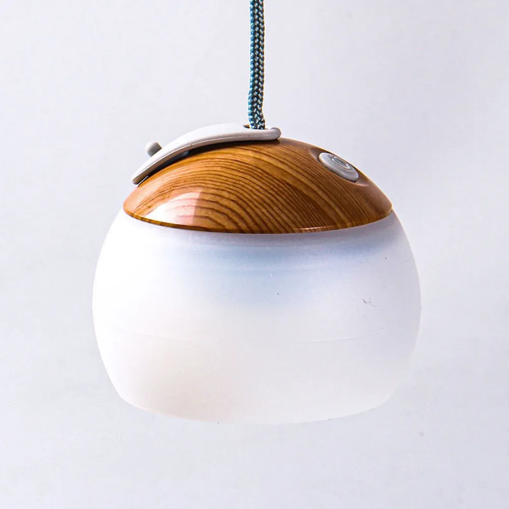 Multifunctional Cam…