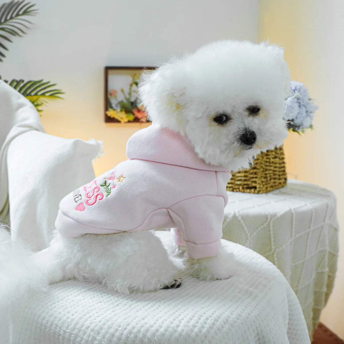 1PC Pet Clothing Spring and Autumn Velvet Pink Little Princess Hoodie Hat Hoodie Suitable for Small and Medium sized Dogs