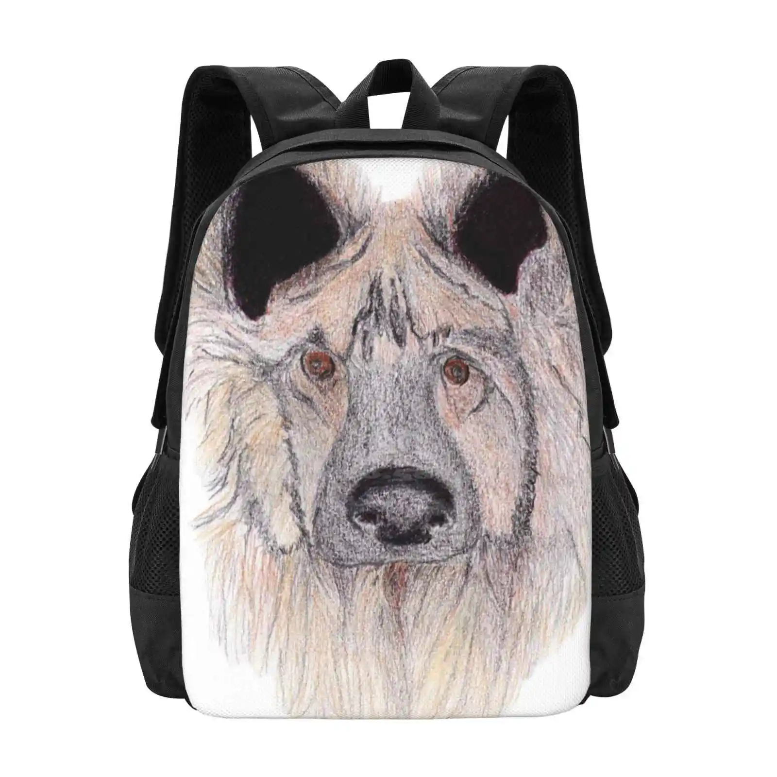 Harry Because He Is Harry Hot Sale Schoolbag Backpack Fashion Bags Dog Harry Big Nose Pet Brown Eyes Cute Animal Color Pencil