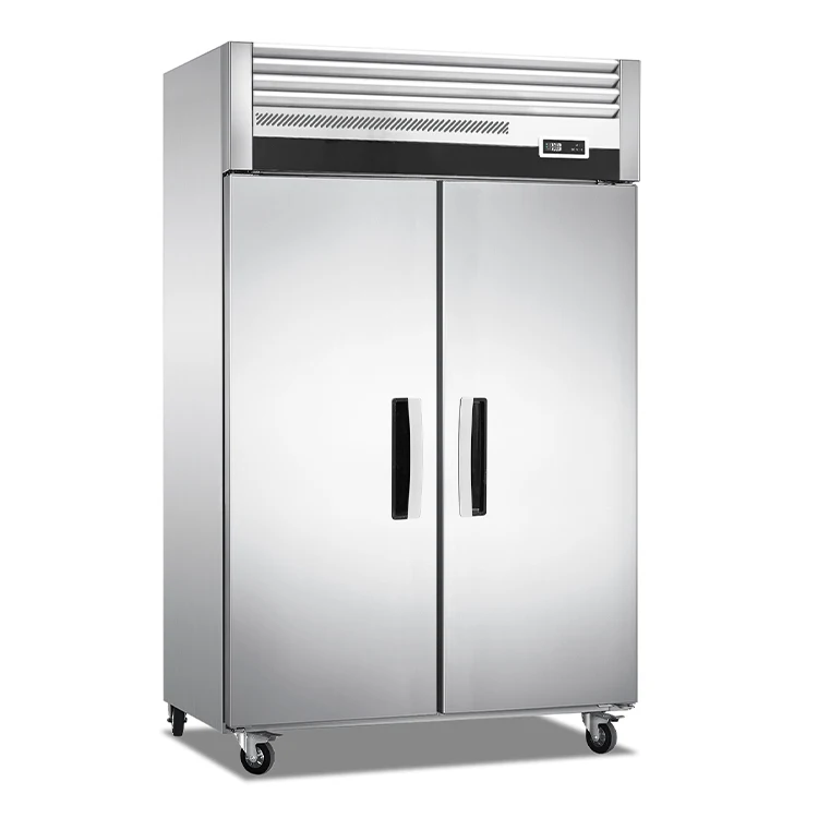 

Luxury Commercial Kitchen Upright Big Capacity Vertical 2 Door Stainless Steel Freezer Vertical Large Refrigerators