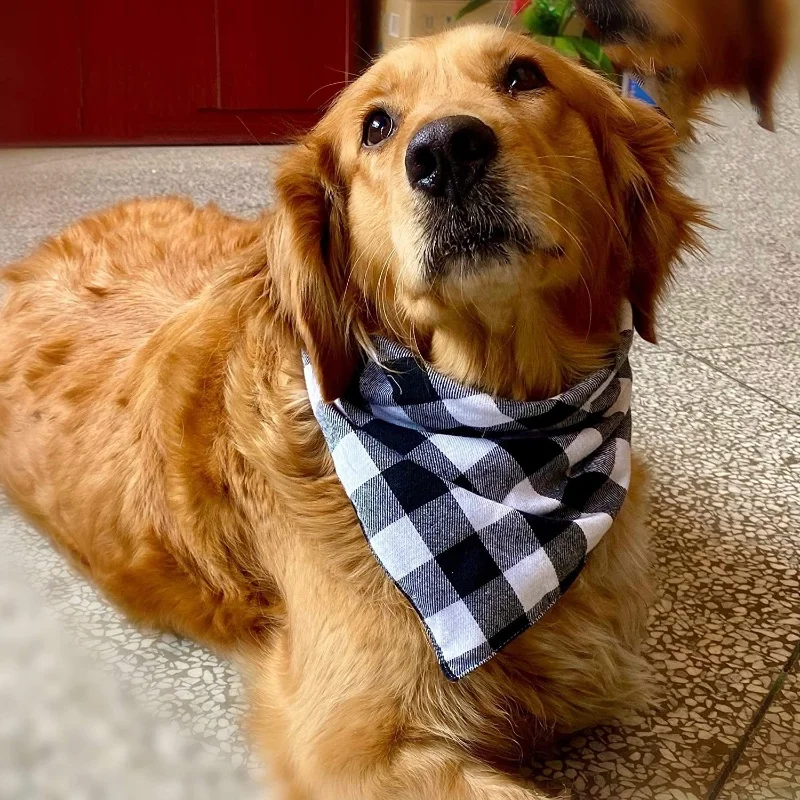 Thumbnail 3 - #78 Best Selling Cotton Bandana Scarfs