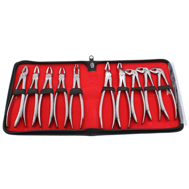 Denta Instruments Adult Tooth Extracting Forceps 10 Pcs Set