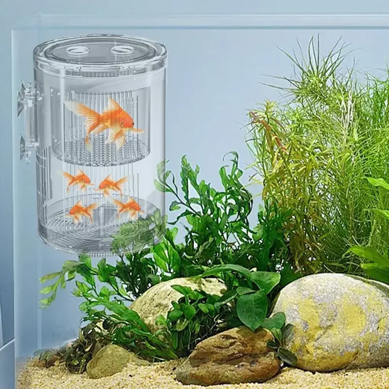 Caja de cría para pecera, separador de peces para bebé, criador de incubadora acrílica transparente con ventosa para aislamiento
