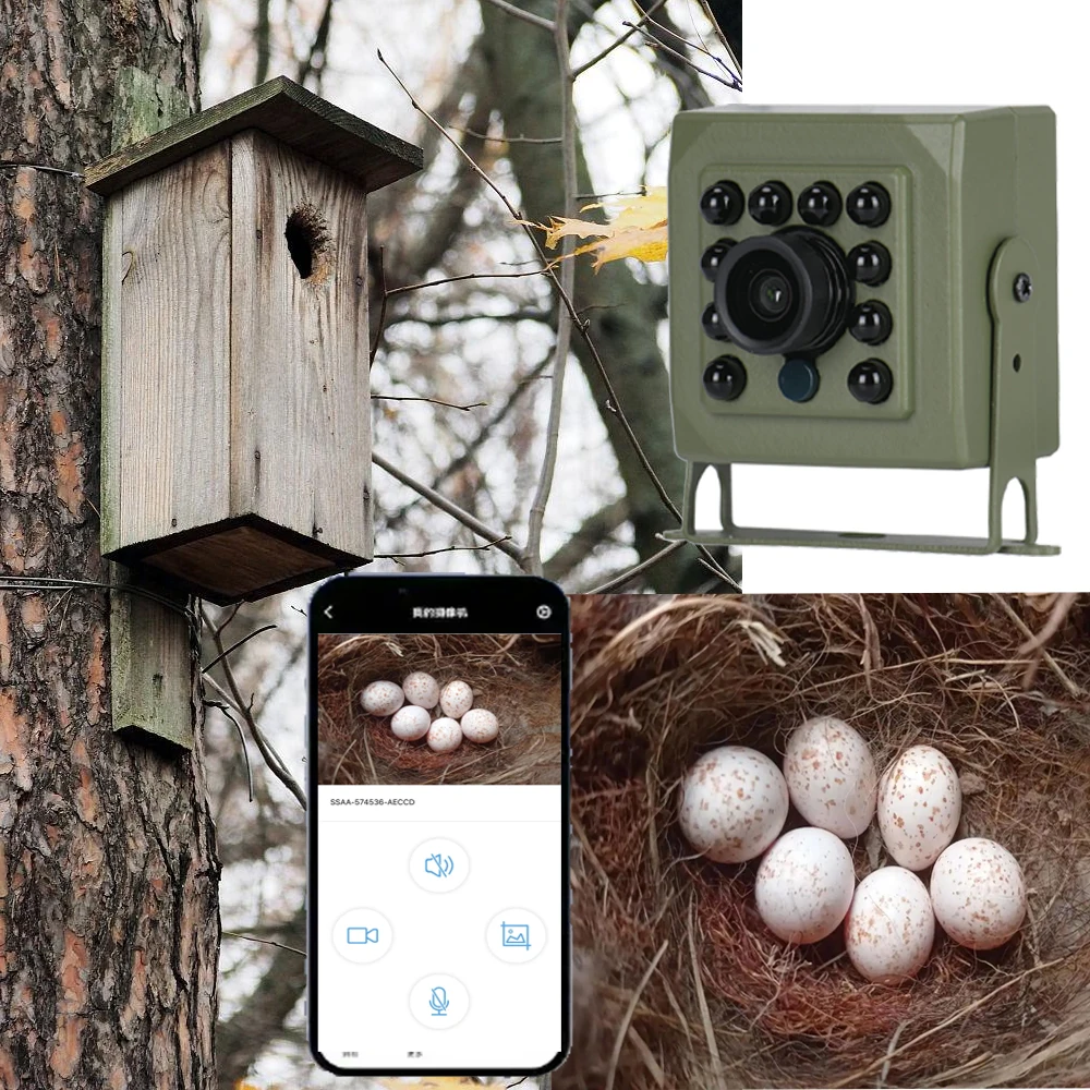 6MP 4MP Tuya Smart Life Bird Watching Camera IR CUT Wireless Indoor Wildr Wifi Birdcage Camera POE IPC Onvif Night Vision Nest