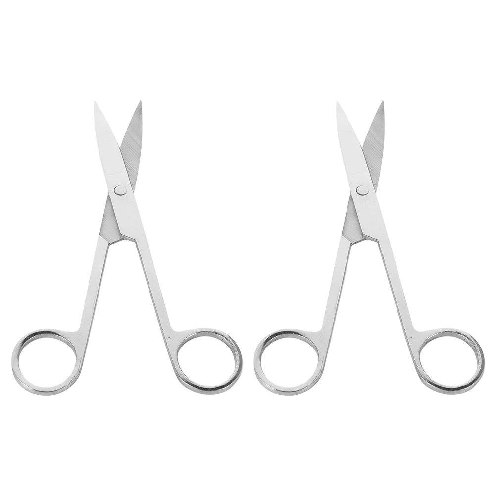

2 Pcs Dissecting Scissors Anatomy Experiment Animal Small Nickel Plating First Aid