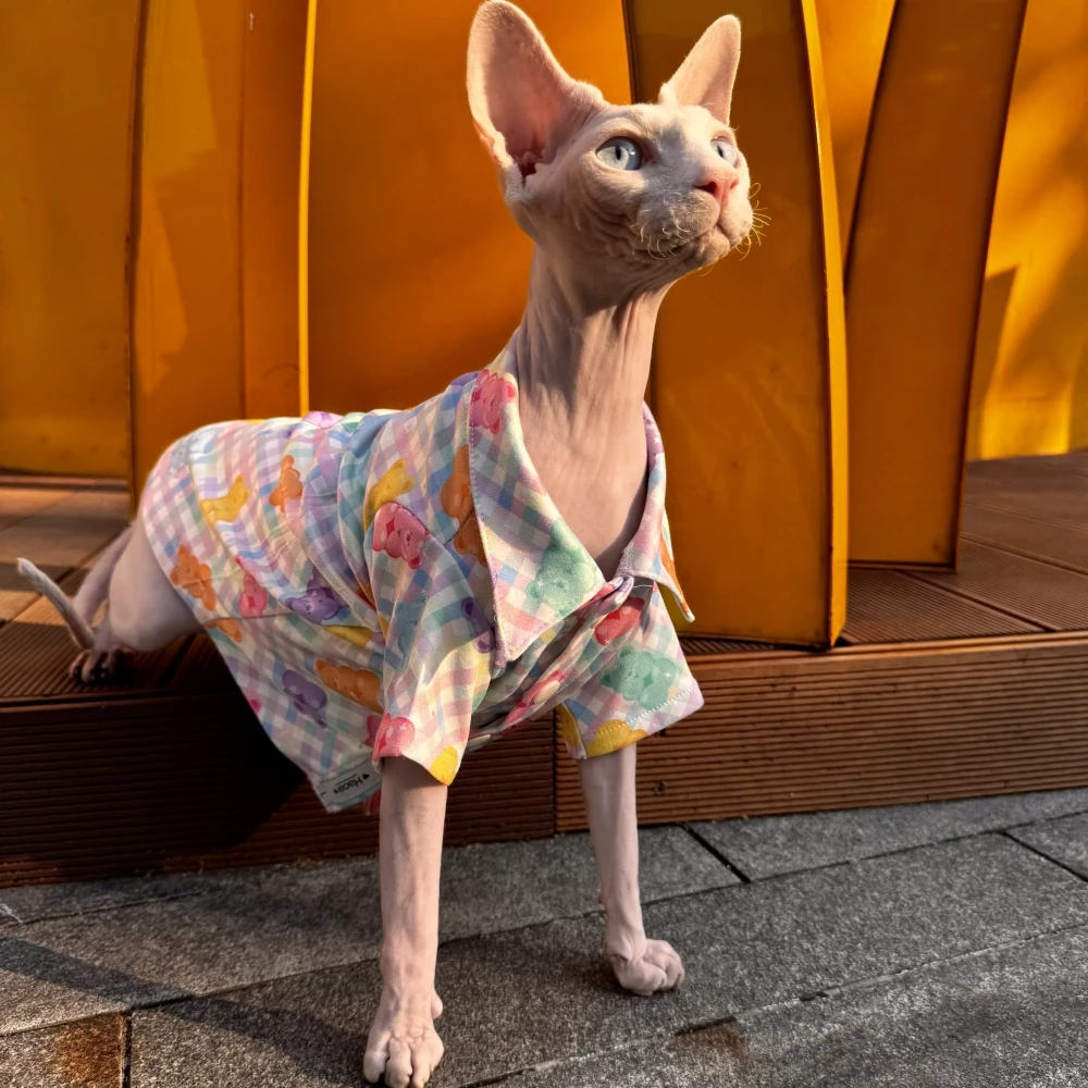 Cute Cartoon Bear Shirt for Sphynx Cat Summer Fashion Soft Blouse For Big Belly Kittens Spring Blue Cotton Coat for Devon Rex