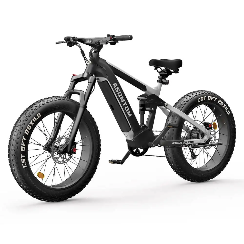 SR6 LG Battery EBike Four Link Suspension System 750W 26inch Beach Snow City Urban Commuter Fat Tire Mountain Dirt Electric bike