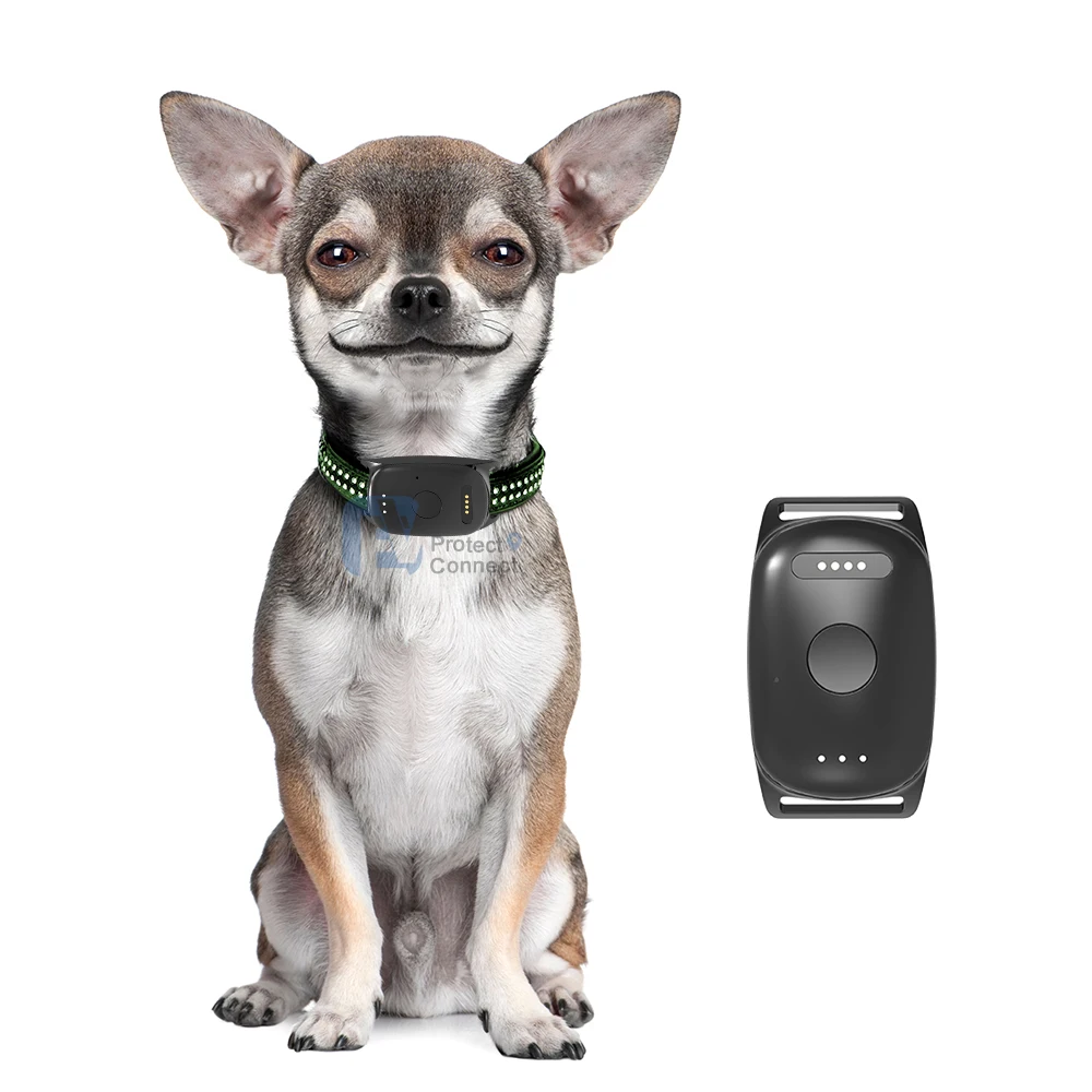 

Hot sell Satellite Real-Time Tracking GPS Pet Tracker EV-201M Dog Collar With Custom Packing Box