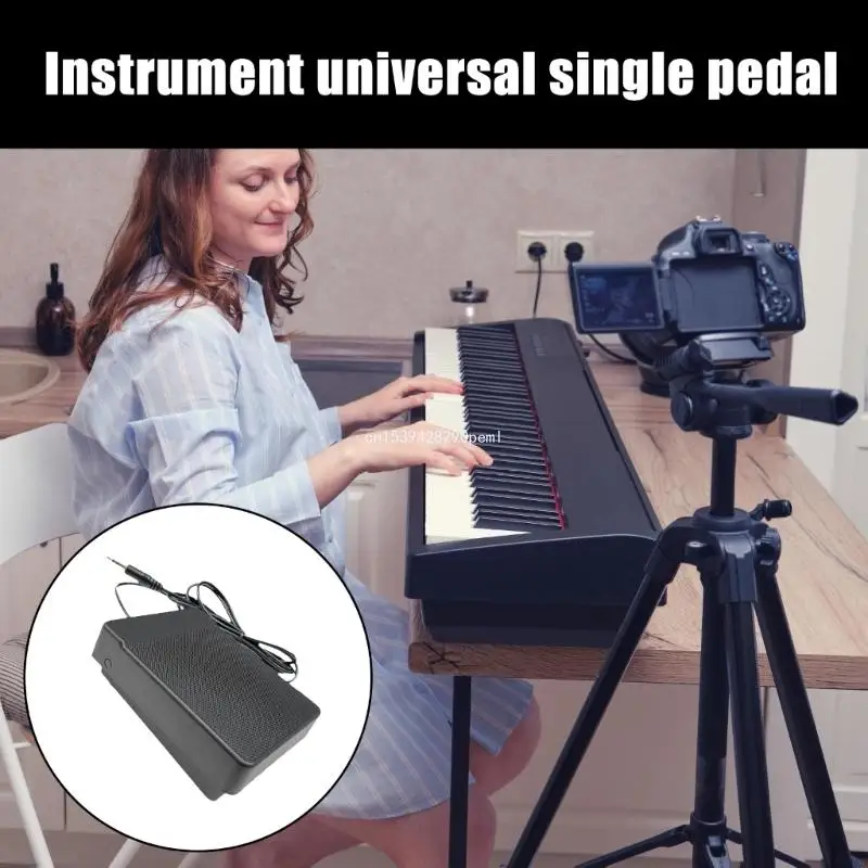 Sustain Pedal Keyboards Pedal Digital Piano Keyboard Piano Foot Pedal Expression Pedal Electronic Piano Damper Pedal