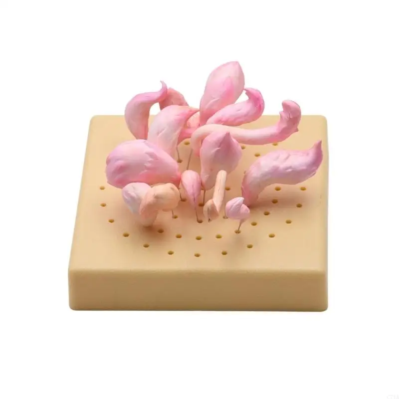 Premium Silicone Anime Character Tail Molds For Polymer Clay Easy Demolding And Sturdy For Repeated Use In Art Classes C71A