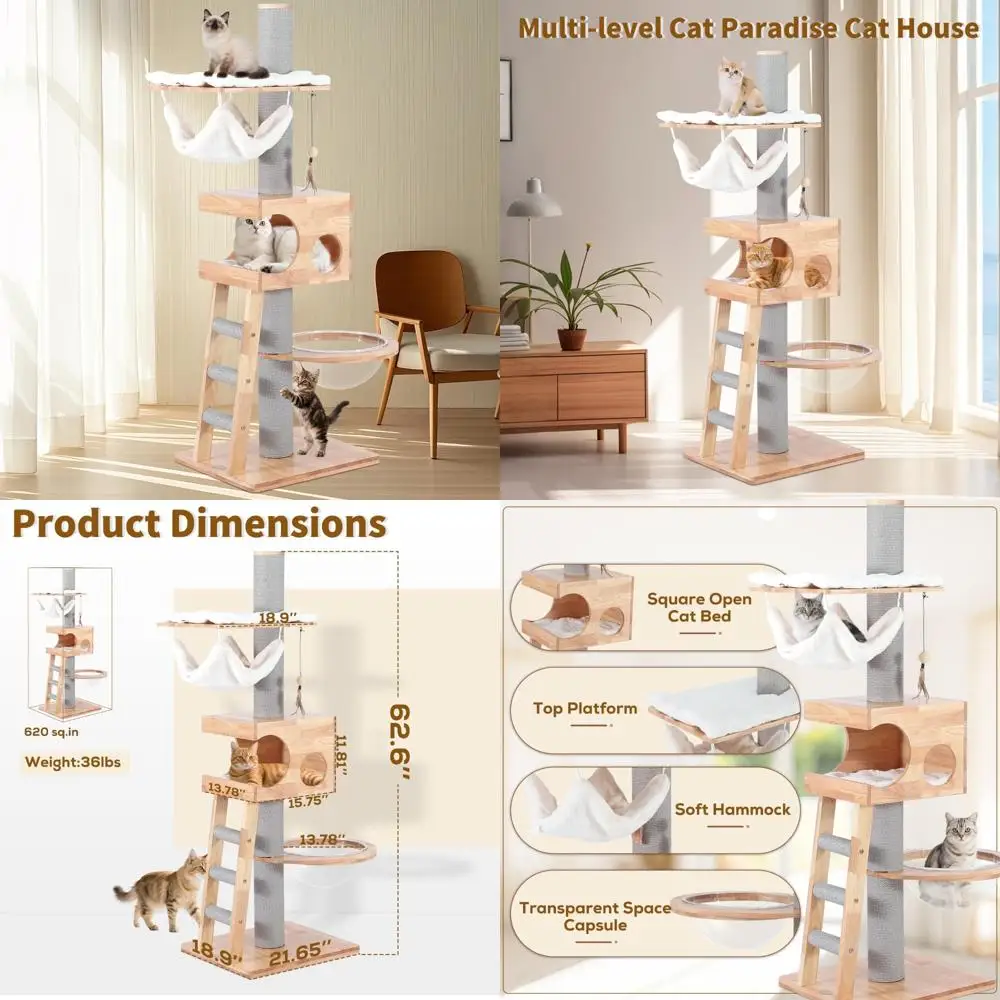 

«63-дюймовая высокая домашняя кошачья башня из цельного дерева с гамаком и кроватью для взрослых кошек, с прозрачным дизайном»