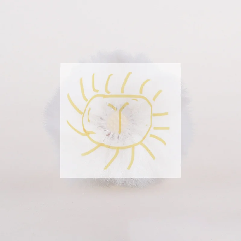 Wireless Collar Cli…