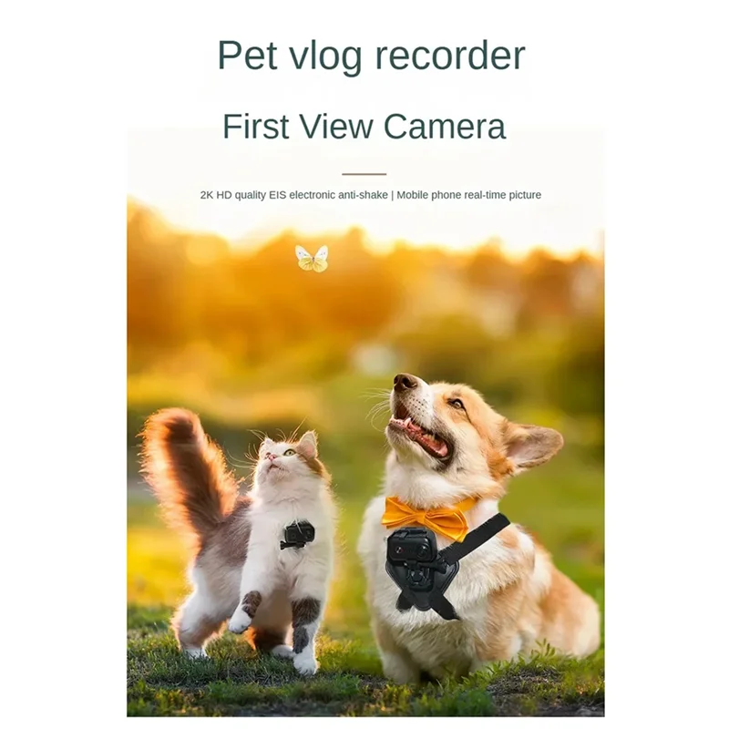 FORW-2K Wireless Sp… - image