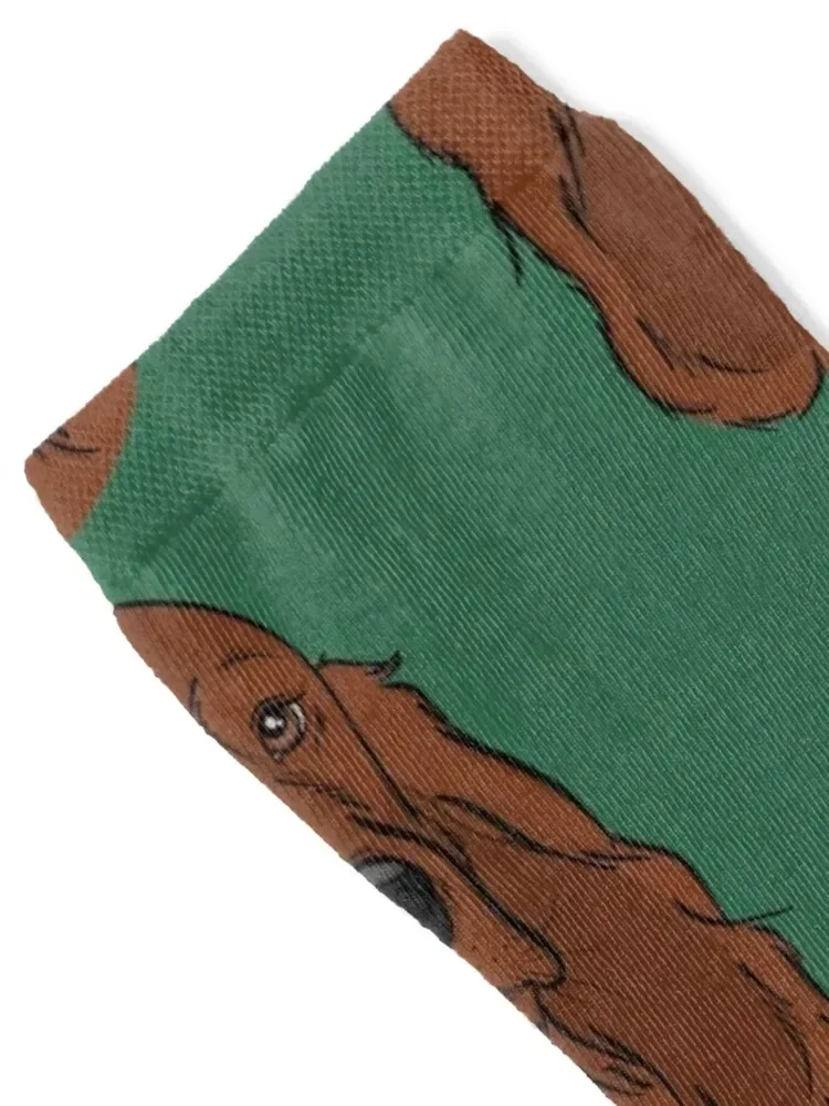 Irish Setter Socks winter gifts fashionable Stockings kawaii Socks Men Women's