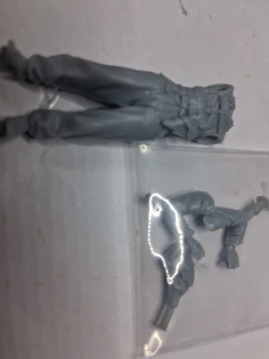 Buyer photo of this resin kit