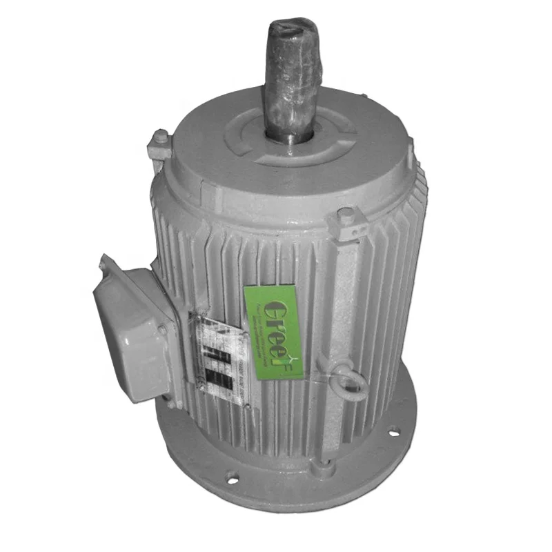 10kw 1Mw 400W Micro Hydroelectric Pelton Generator 10Kw