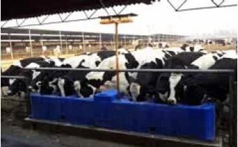 Blue Constant Temperature Drinking Water Trough Animal Drinking Equipment LLDPE Cow Water Drinker