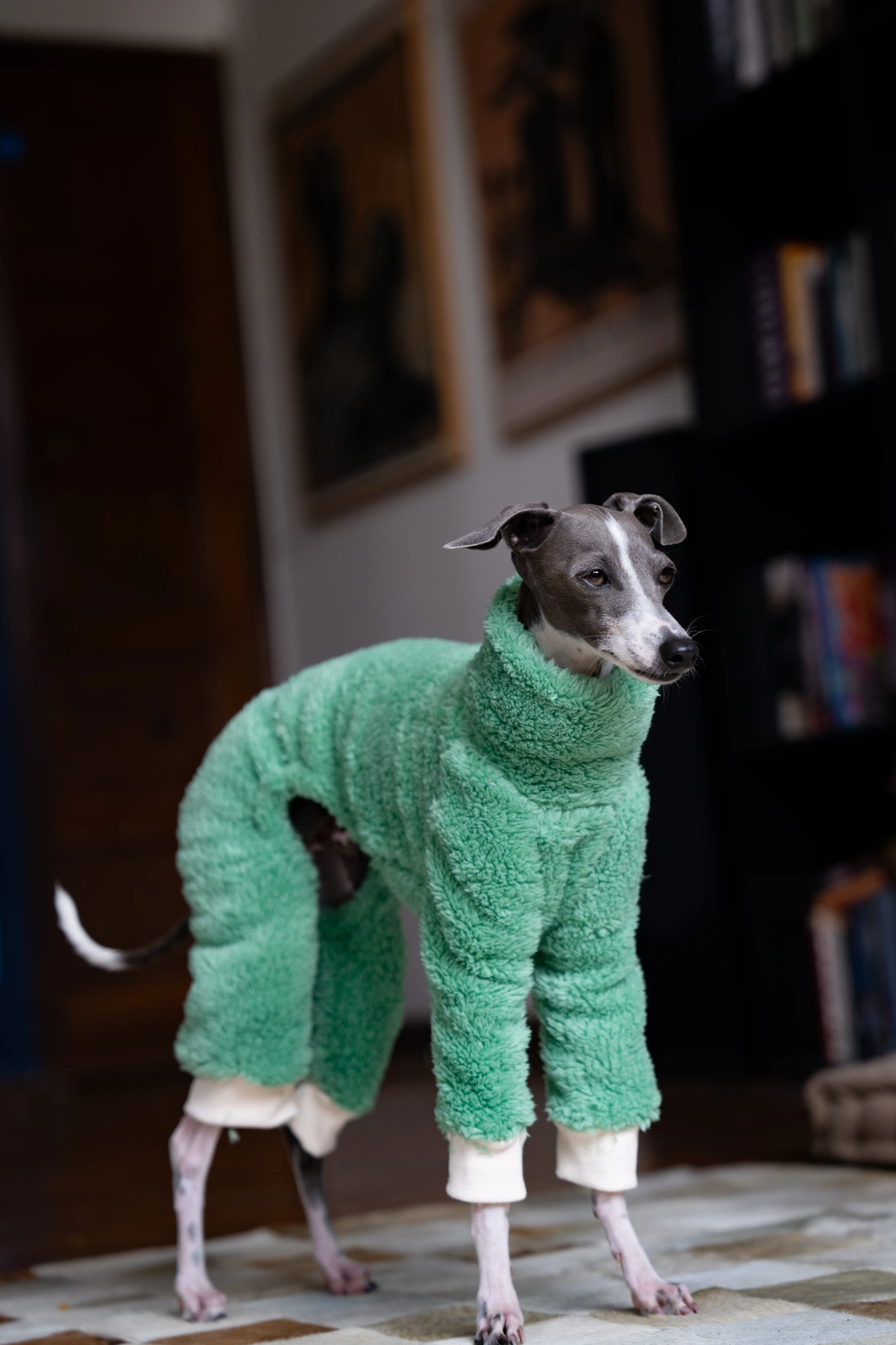 Green Christmas Italian Greyhound Clothes Soft Warm Winter Puppy Clothes Whippet Coat