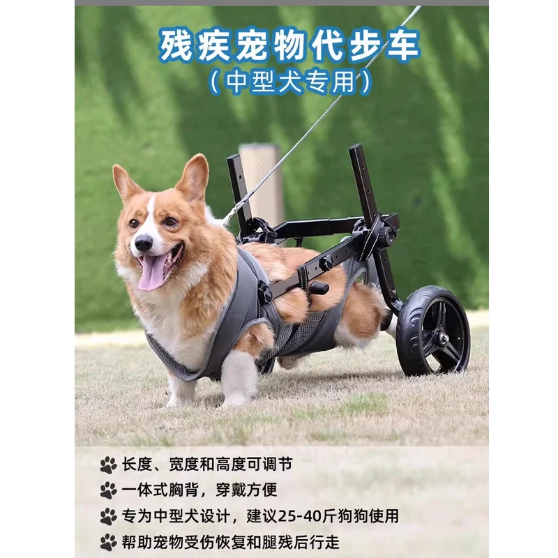 

Dog Hind Leg Walker Pet Wheelchair Rehabilitation Training Vehicle for Elderly Dogs with Patella Dislocation And Mobility Issues