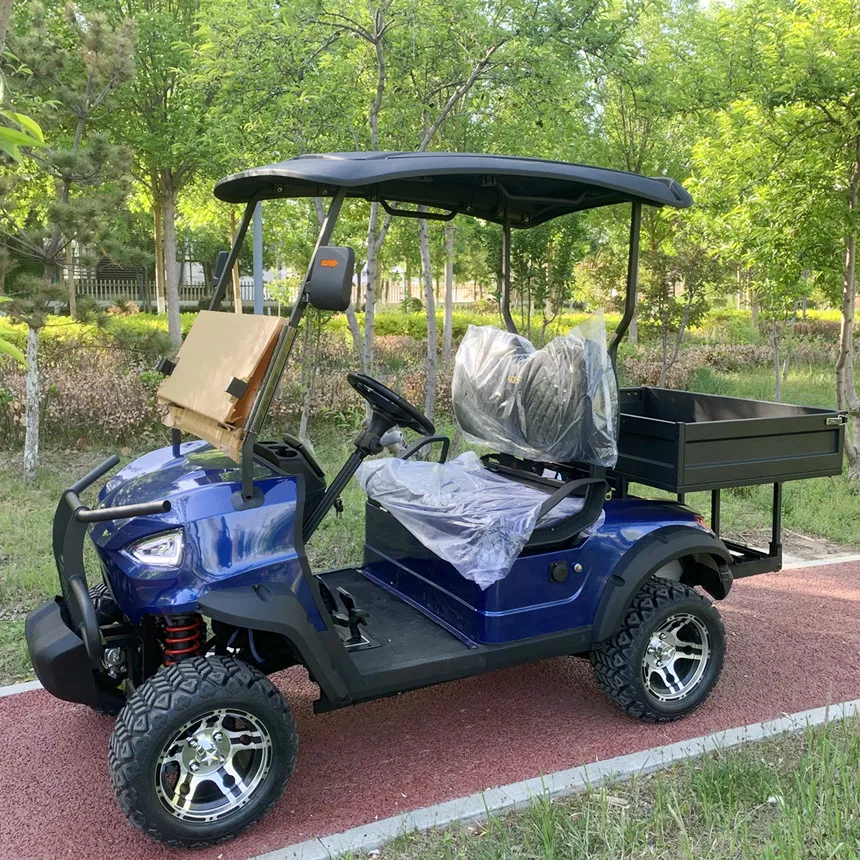 2024 VIP Honoured Guest Sale Electric Car For Adults Electric Golf Cart Customized Front Bumper And Front Basket