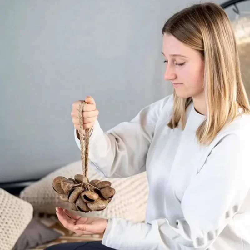 Natural Fruit Shell Rattle Sound Therapy Nuts Beam Wind Chime Healing Gift Handbells Yoga Meditation Percussion Instruments