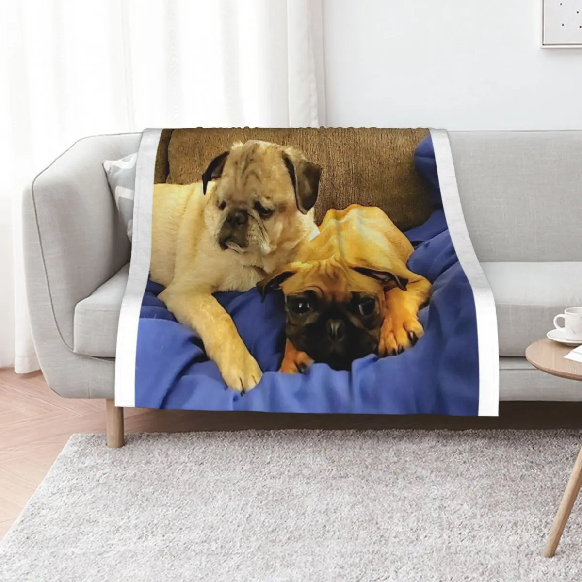 Pair of Pugs Throw Blanket For Decorative Sofa Soft Plush Plaid Summer Beddings sofa bed for sofa Thins Blankets