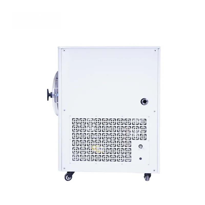 تجميد المجففة محلية الصنع الغذاء مضخة تفريغ مجفف التجميد