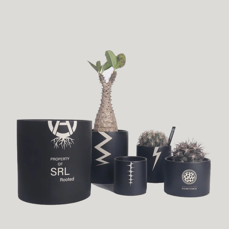 

Vertical trend root plant flower pot cactus pocket elephant foot sumac Ebisu smile big black ivory palace planter bowl