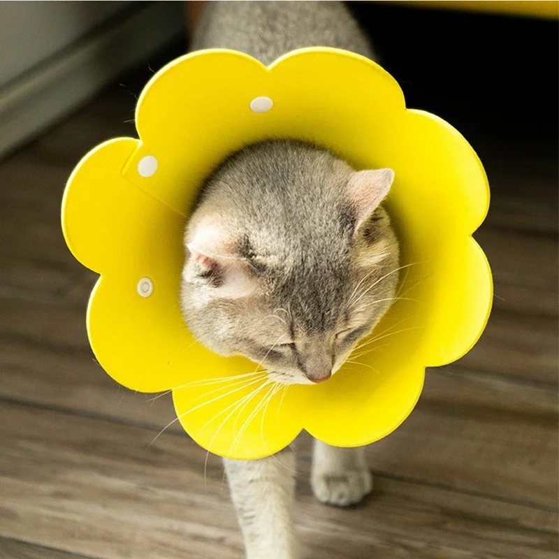 Cute Flower Shaped Adjustable Elizabethan Recovery Collar for Cats Dogs Puppy Kitten Protective Anti-Bite Healing Aid