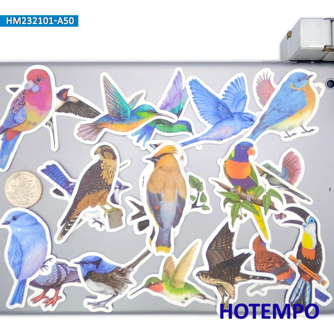 鳥のステッカーセット、水彩スタイル、かわいいカラフルな羽の動物、装飾、ノートパソコン、車、電話、バイク、スクラップブック、荷物に適しています、面白いステッカーパック、20/30/50枚