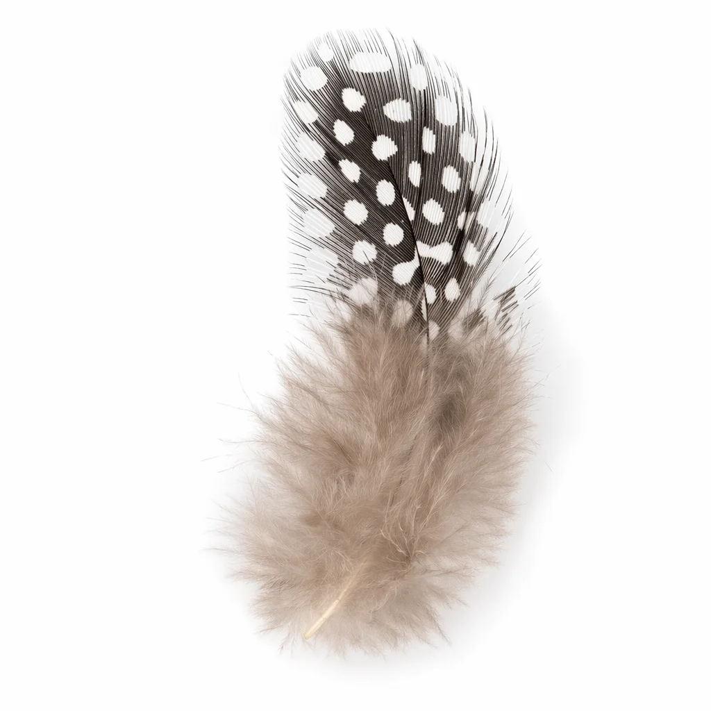 Natural Guinea Pheasant Feathers Loose 4-7cm 300 Pieces, Soft Fluffy Speckled Plumes for DIY Wedding Party Decor Craft Supplies