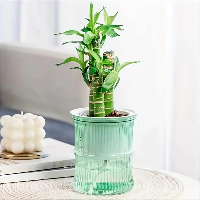 Thumbnail 4 - #34 Top Rated Vases to Buy in 2026