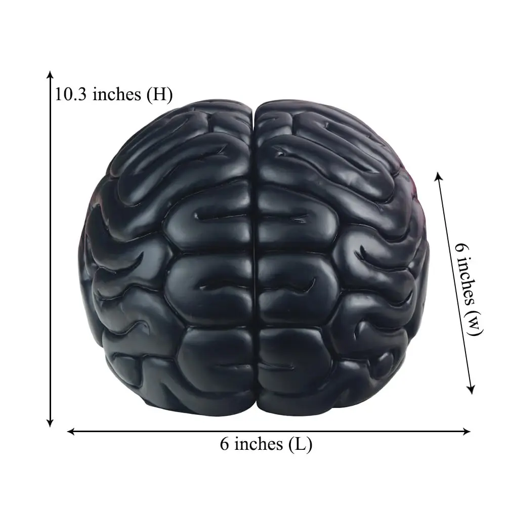 Bookends untuk Rak Buku Otak Resin Anti Selip Ujung Buku Dekoratif Desain Seni Abstrak Unik Rak Buku Sumbat Buku