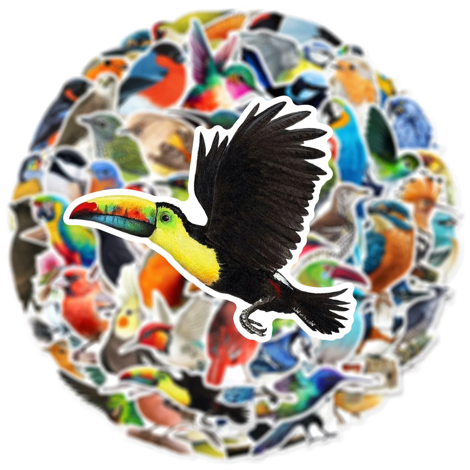 50 Pegatinas de Aves Coloridas, Resistentes al Agua, Realistas, de Vinilo, para Laptop, Equipaje, Botella de Agua, Álbum de Recortes, Estéticas