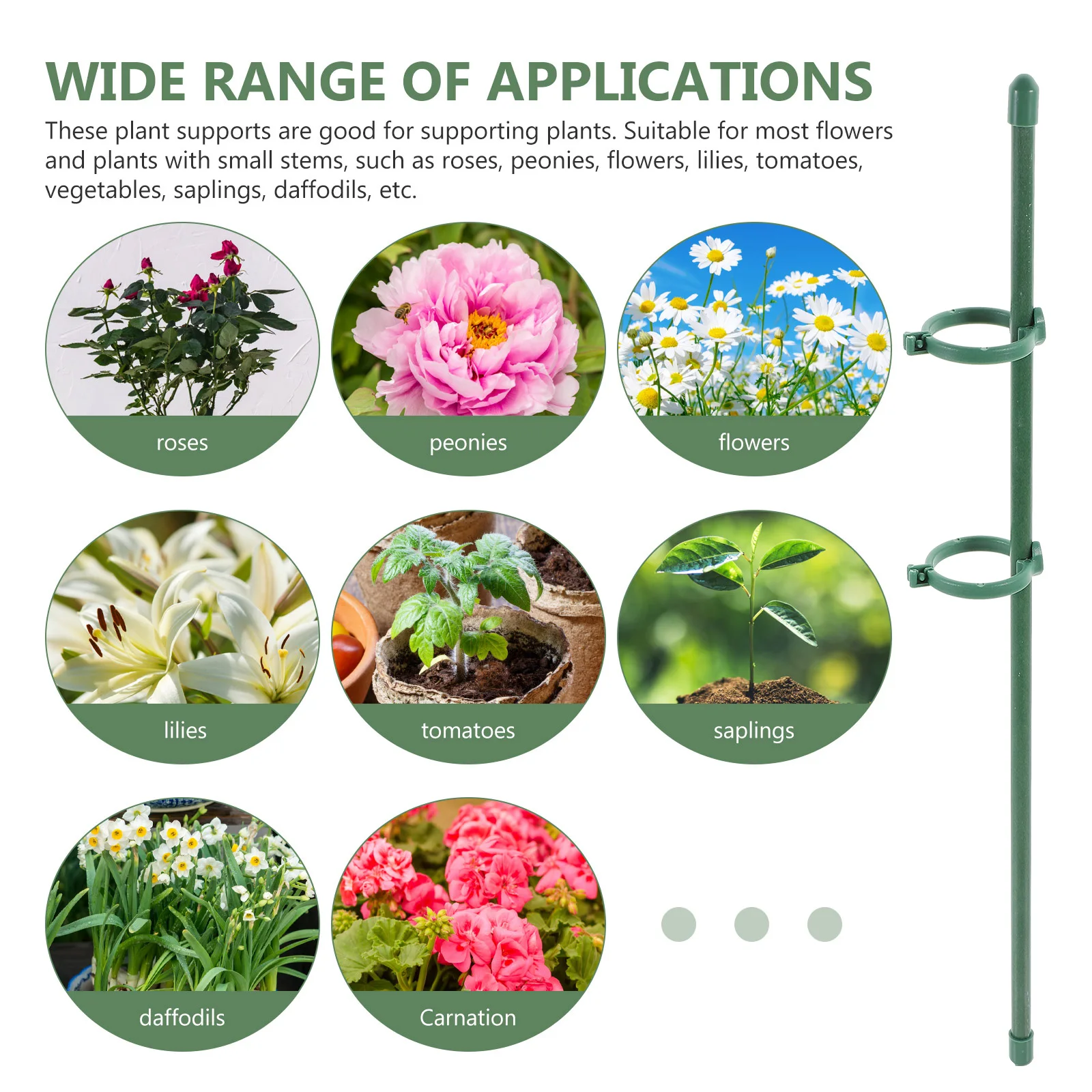 

1Set Garden Plant Support Stakes Flexible Durable Single Stem Floral Flower Stake Practical Gardening Supply Plant Stakes