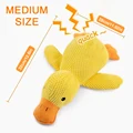 Duck M